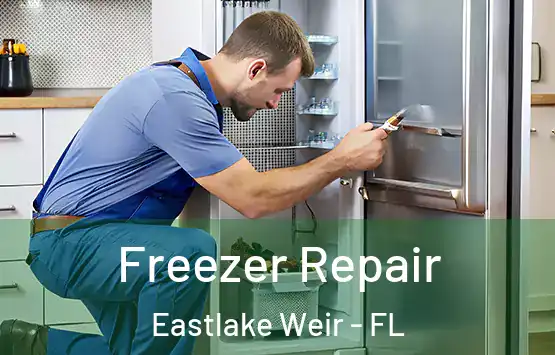  Freezer Repair Eastlake Weir - FL