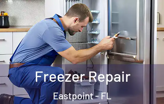  Freezer Repair Eastpoint - FL