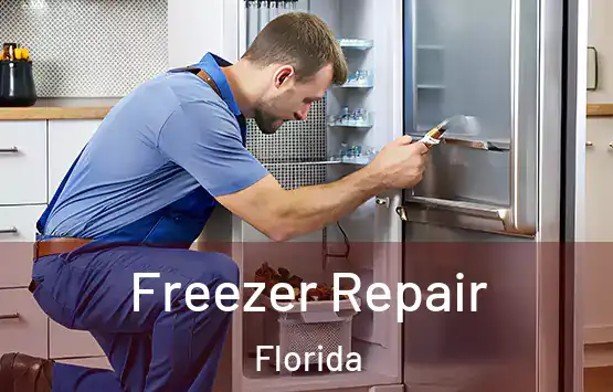  Freezer Repair Florida