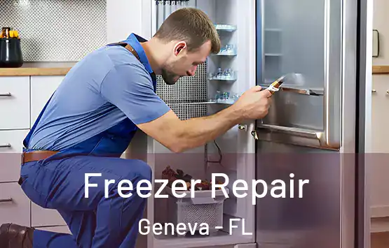  Freezer Repair Geneva - FL