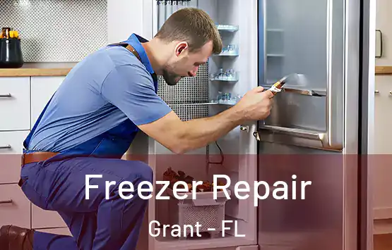  Freezer Repair Grant - FL
