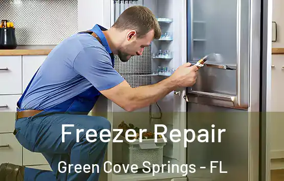  Freezer Repair Green Cove Springs - FL