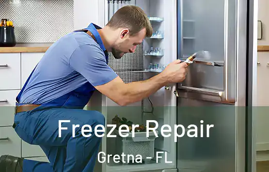  Freezer Repair Gretna - FL