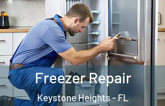  Freezer Repair Keystone Heights - FL
