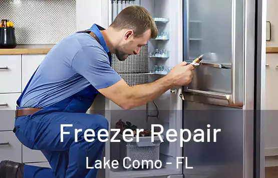 Freezer Repair Lake Como - FL