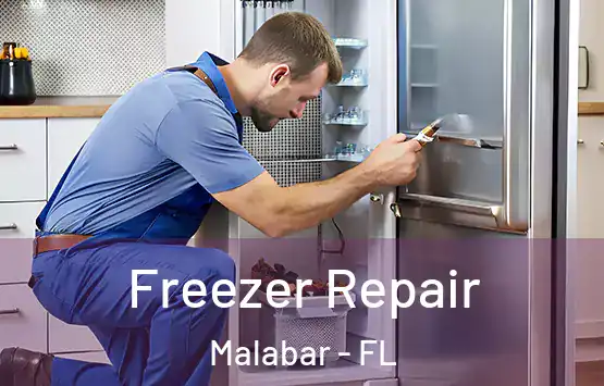  Freezer Repair Malabar - FL