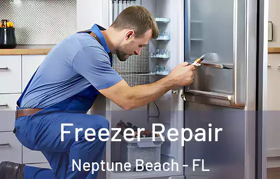  Freezer Repair Neptune Beach - FL
