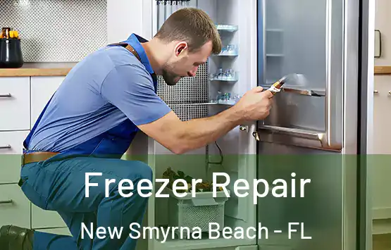  Freezer Repair New Smyrna Beach - FL