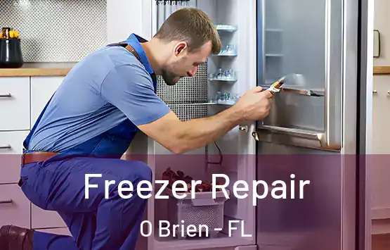  Freezer Repair O Brien - FL