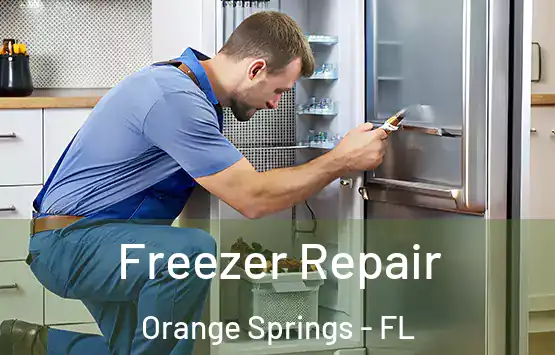  Freezer Repair Orange Springs - FL