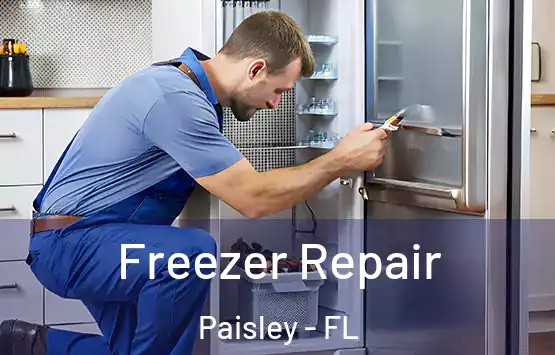  Freezer Repair Paisley - FL