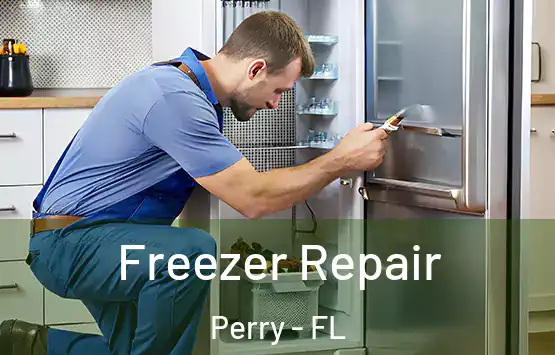  Freezer Repair Perry - FL