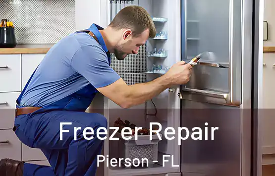  Freezer Repair Pierson - FL