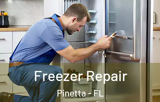  Freezer Repair Pinetta - FL