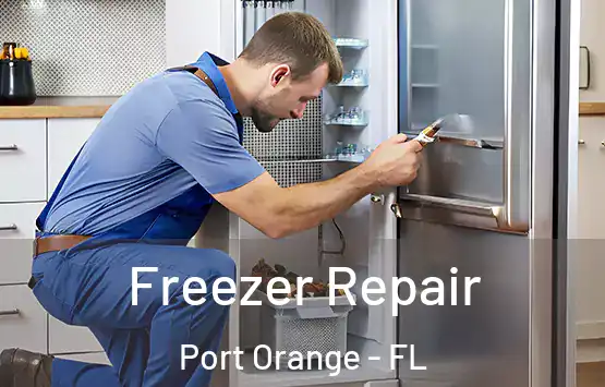  Freezer Repair Port Orange - FL