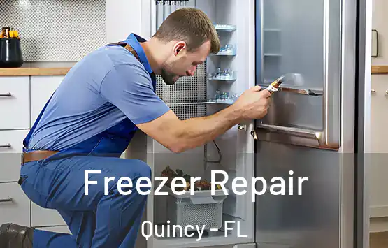  Freezer Repair Quincy - FL