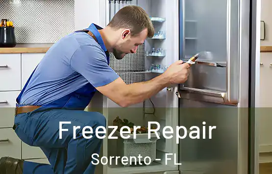  Freezer Repair Sorrento - FL