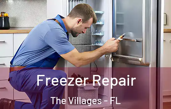  Freezer Repair The Villages - FL