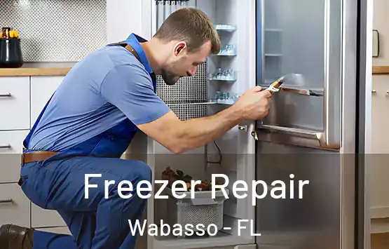 Freezer Repair Wabasso - FL