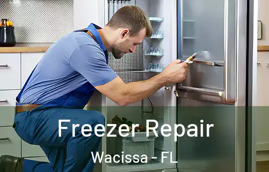  Freezer Repair Wacissa - FL