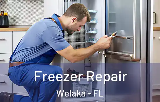  Freezer Repair Welaka - FL