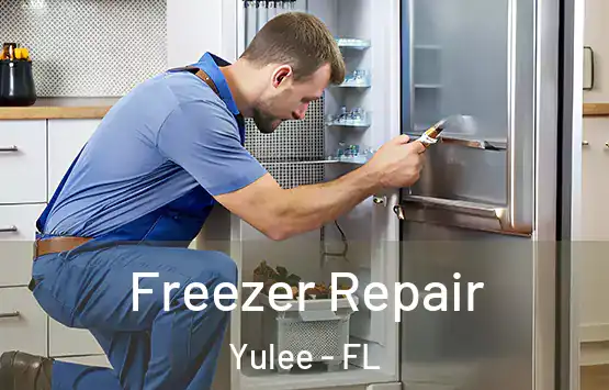  Freezer Repair Yulee - FL