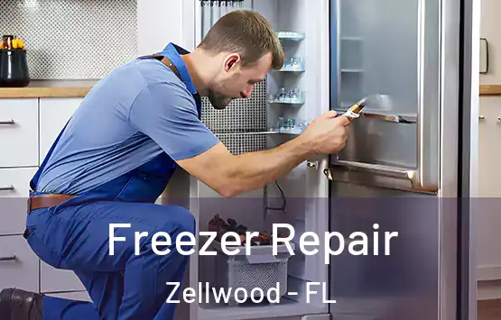  Freezer Repair Zellwood - FL