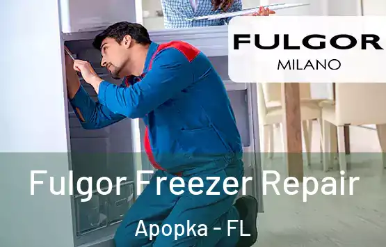  Fulgor Freezer Repair Apopka - FL