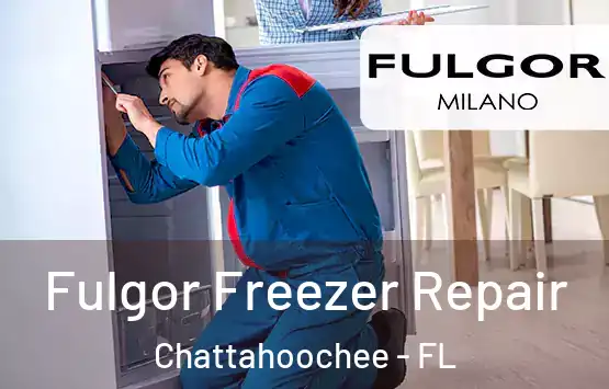  Fulgor Freezer Repair Chattahoochee - FL