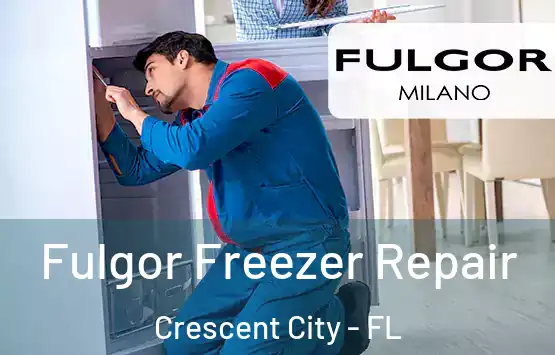  Fulgor Freezer Repair Crescent City - FL