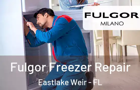  Fulgor Freezer Repair Eastlake Weir - FL
