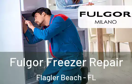  Fulgor Freezer Repair Flagler Beach - FL