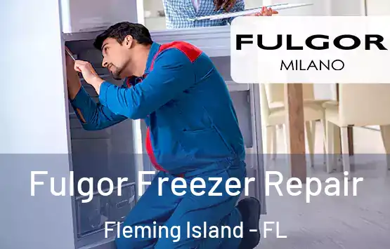  Fulgor Freezer Repair Fleming Island - FL