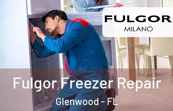  Fulgor Freezer Repair Glenwood - FL