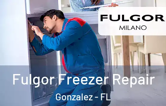  Fulgor Freezer Repair Gonzalez - FL