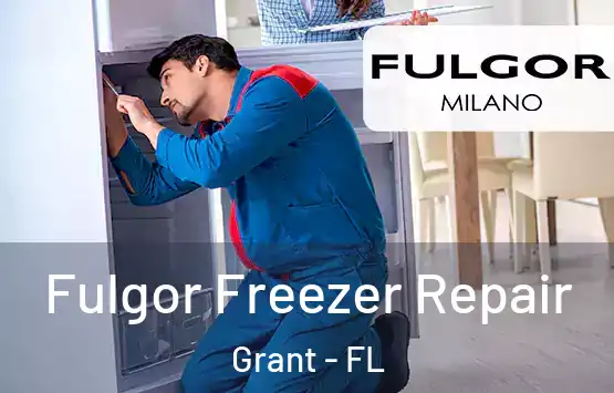  Fulgor Freezer Repair Grant - FL
