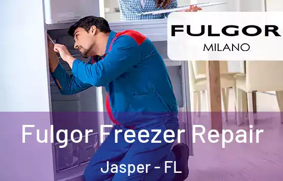  Fulgor Freezer Repair Jasper - FL