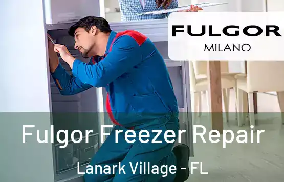  Fulgor Freezer Repair Lanark Village - FL