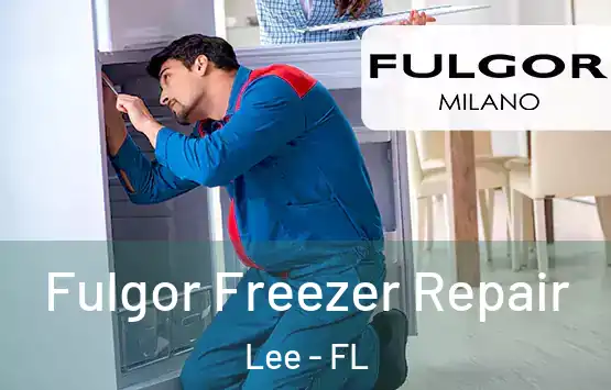  Fulgor Freezer Repair Lee - FL