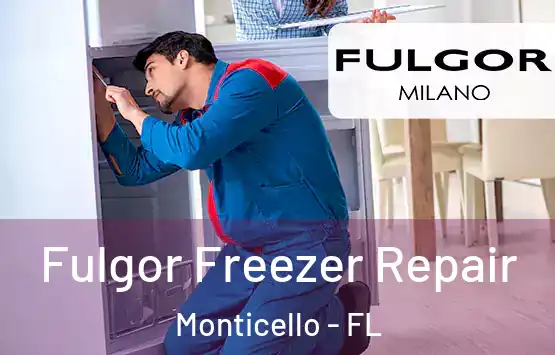  Fulgor Freezer Repair Monticello - FL