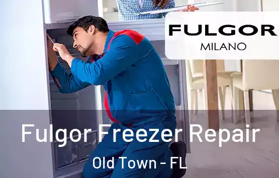  Fulgor Freezer Repair Old Town - FL