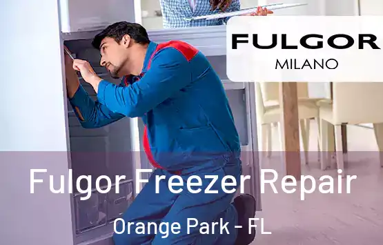  Fulgor Freezer Repair Orange Park - FL