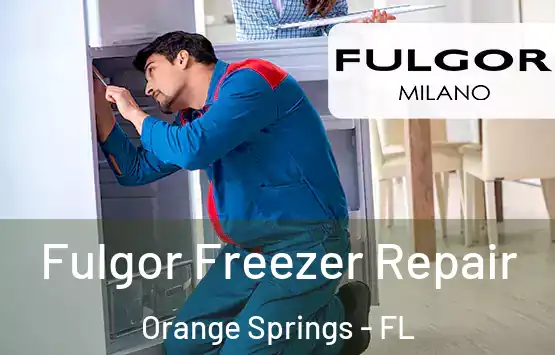  Fulgor Freezer Repair Orange Springs - FL