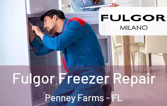  Fulgor Freezer Repair Penney Farms - FL