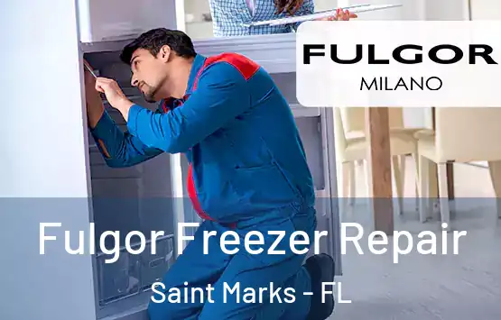  Fulgor Freezer Repair Saint Marks - FL