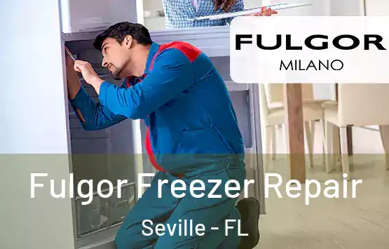  Fulgor Freezer Repair Seville - FL