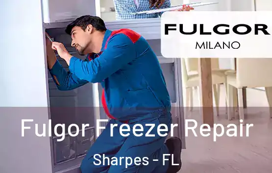  Fulgor Freezer Repair Sharpes - FL