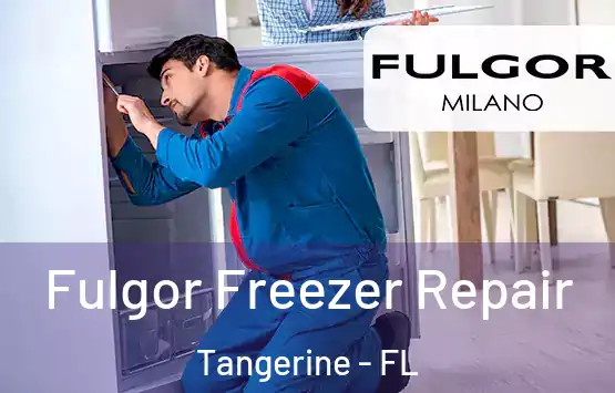  Fulgor Freezer Repair Tangerine - FL