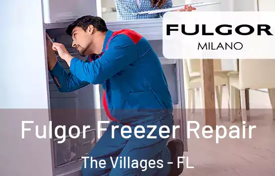  Fulgor Freezer Repair The Villages - FL