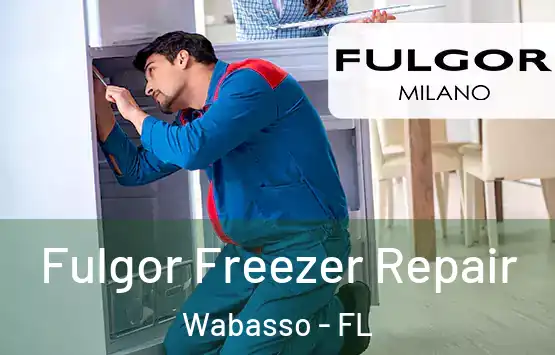  Fulgor Freezer Repair Wabasso - FL